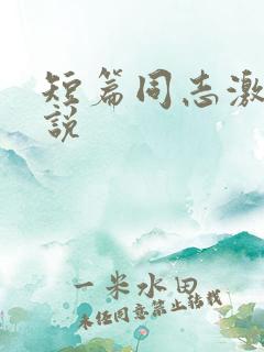 短篇同志激情小说