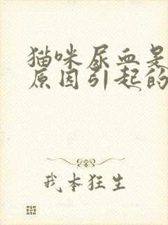 猫咪尿血是什么原因引起的
