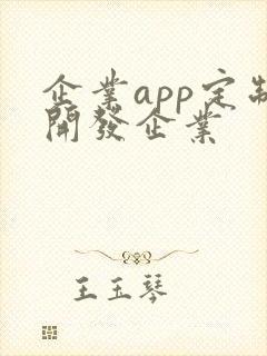 企业app定制开发企业