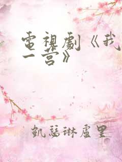 电视剧《我的特一营》