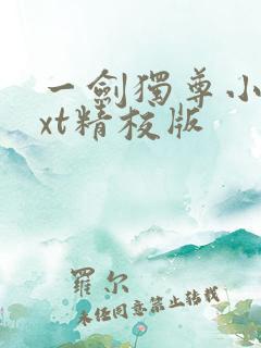 一剑独尊小说txt精校版