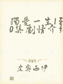 独爱一生1到30集剧情介绍