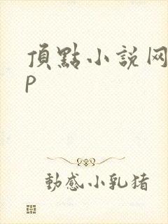 顶点小说网app