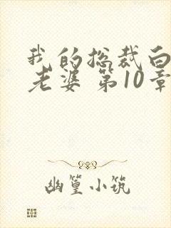 我的总裁白富美老婆 第10章