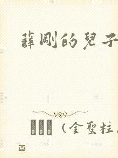薛刚的儿子薛葵