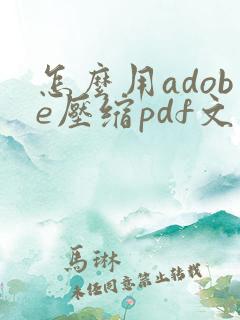 怎么用adobe压缩pdf文件大小
