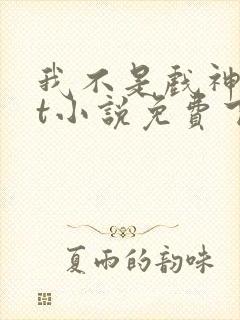 我不是戏神txt小说免费下载
