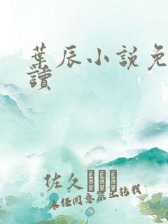 叶辰小说免费阅读