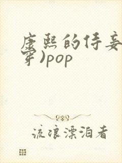 康熙的侍妾(清穿)pop