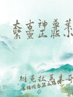 太古神尊叶风叶紫灵正版小说