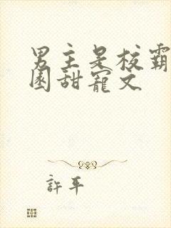 男主是校霸的校园甜宠文