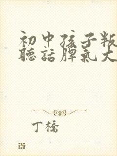 初中孩子叛逆不听话脾气大不学习