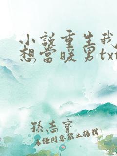小说重生我真没想当暖男txt