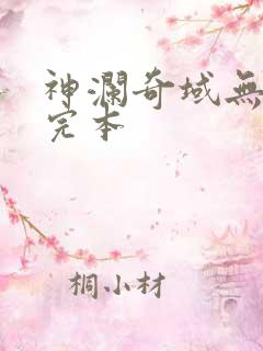 神澜奇域无双珠完本