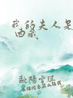 我的夫人是奸相 四藏
