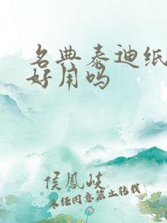 名典泰迪纸尿裤好用吗