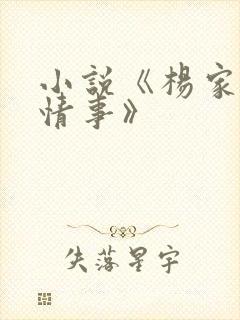 小说《杨家洼的情事》