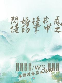 闪婚后我成了大佬的掌中之物无删减