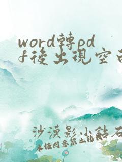 word转pdf后出现空白页怎么删除