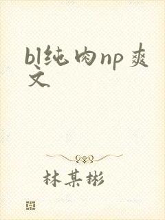 bl纯肉np爽文