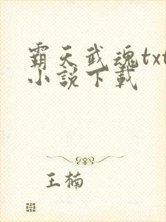 霸天武魂txt小说下载