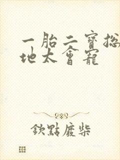 一胎二宝总裁爹地太会宠