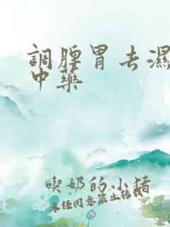 调脾胃去湿气的中药
