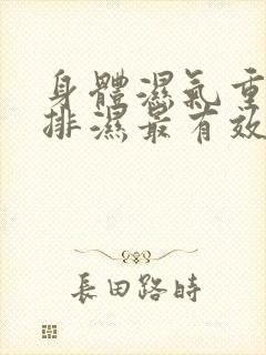 身体湿气重怎么排湿最有效什么中药健脾