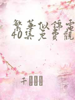 繁华似锦电视剧40集免费观看高清
