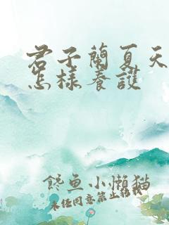 君子兰夏天移栽怎样养护