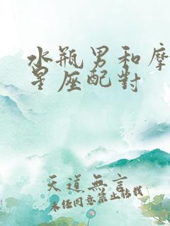 水瓶男和摩羯女星座配对