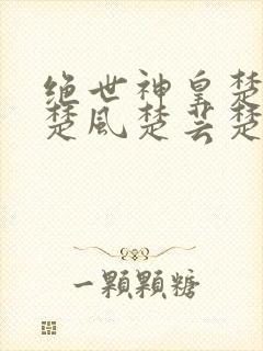 绝世神皇楚风(楚风楚芸楚鸿飞)