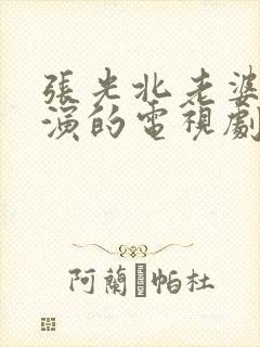 张光北老婆陈炜演的电视剧
