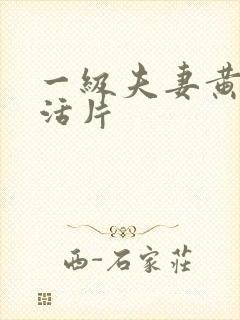 一级夫妻黄色生活片
