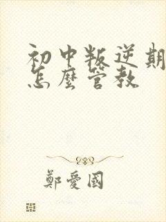 初中叛逆期男孩怎么管教