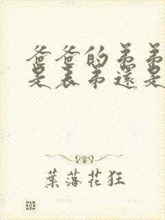 爸爸的弟弟儿子是表弟还是堂弟