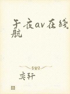 午夜av在线导航