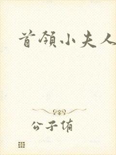 首领小夫人
