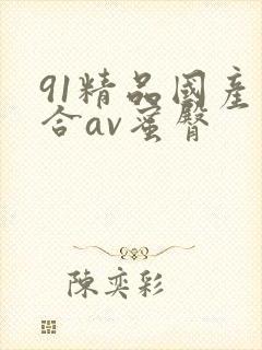 91精品国产综合av蜜臀