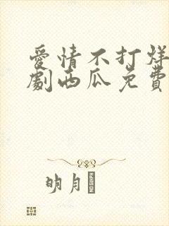 爱情不打烊电视剧西瓜免费观看