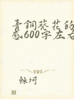 青铜葵花的读后感600字左右