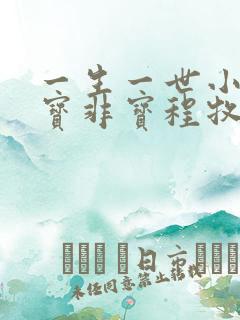 一生一世小说墨宝非宝程牧阳