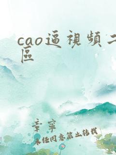 cao逼视频二区