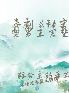 泰剧《秘密爱》双男主完整版