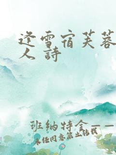 逢雪宿芙蓉山主人 诗