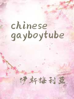 chinesegayboytube
