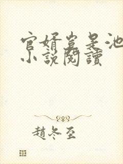 官婿岂是池中物小说阅读