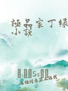 极品家丁绿帽版小说
