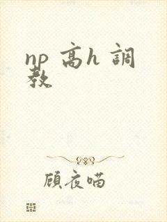np 高h 调教