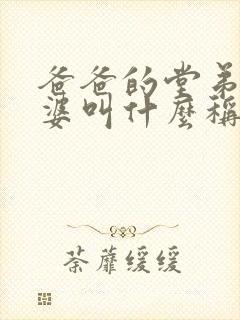 爸爸的堂弟的老婆叫什么称呼